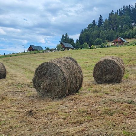 Domki Kolorowe Marciszow Exteriér fotografie