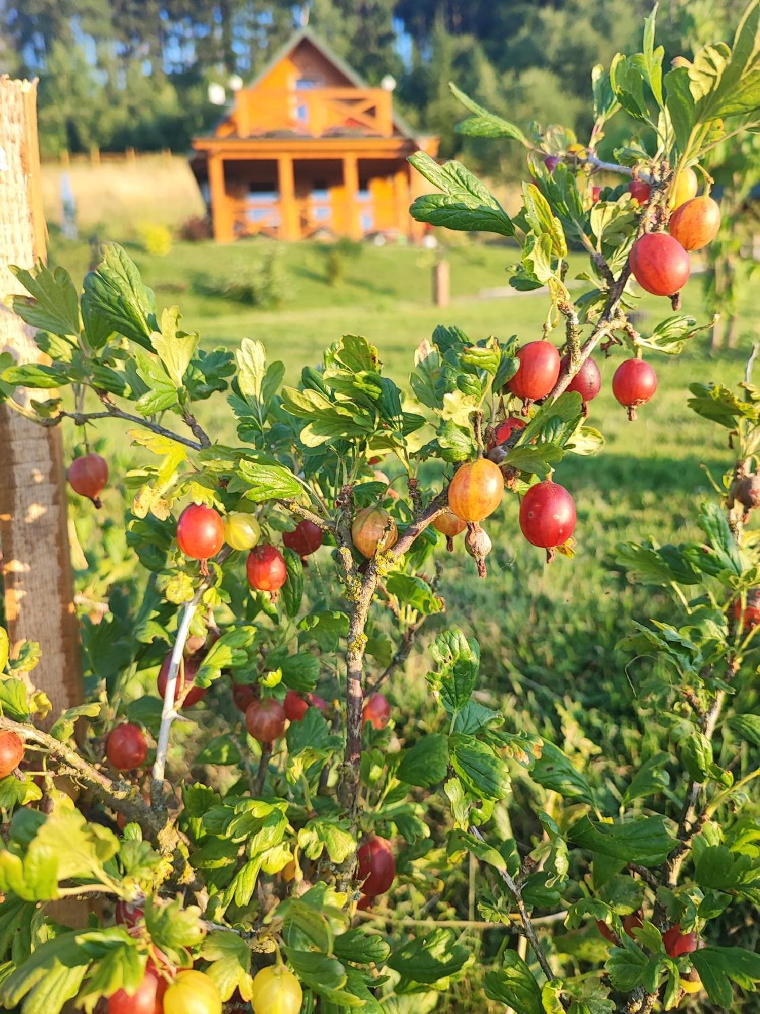 Domki Kolorowe Marciszow Exteriér fotografie