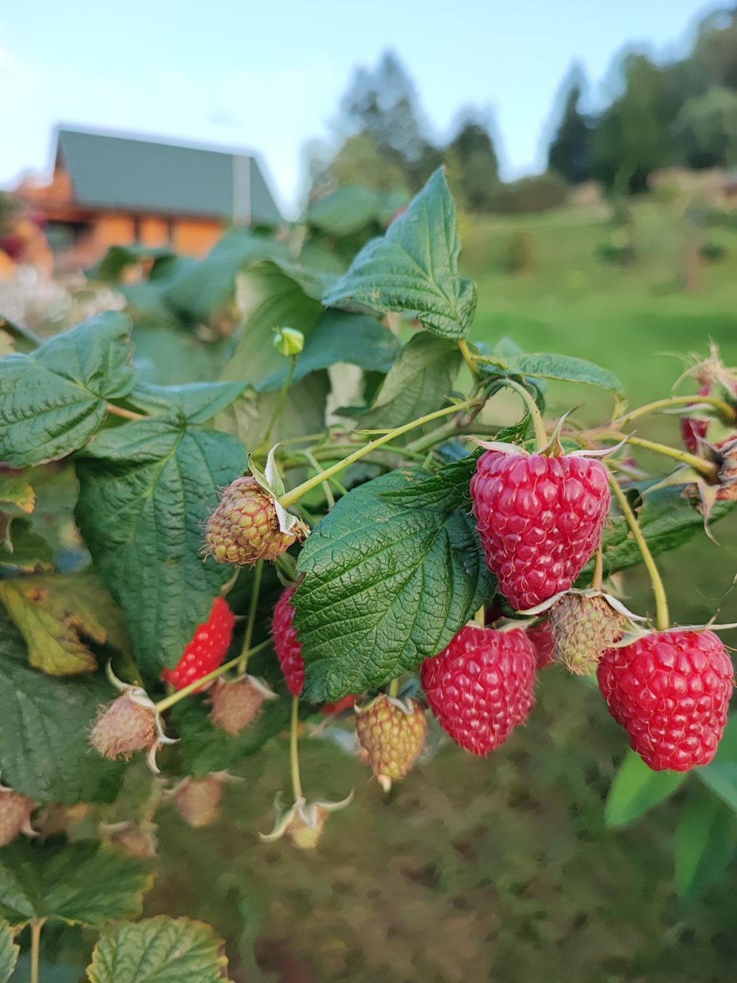 Domki Kolorowe Marciszow Pokoj fotografie