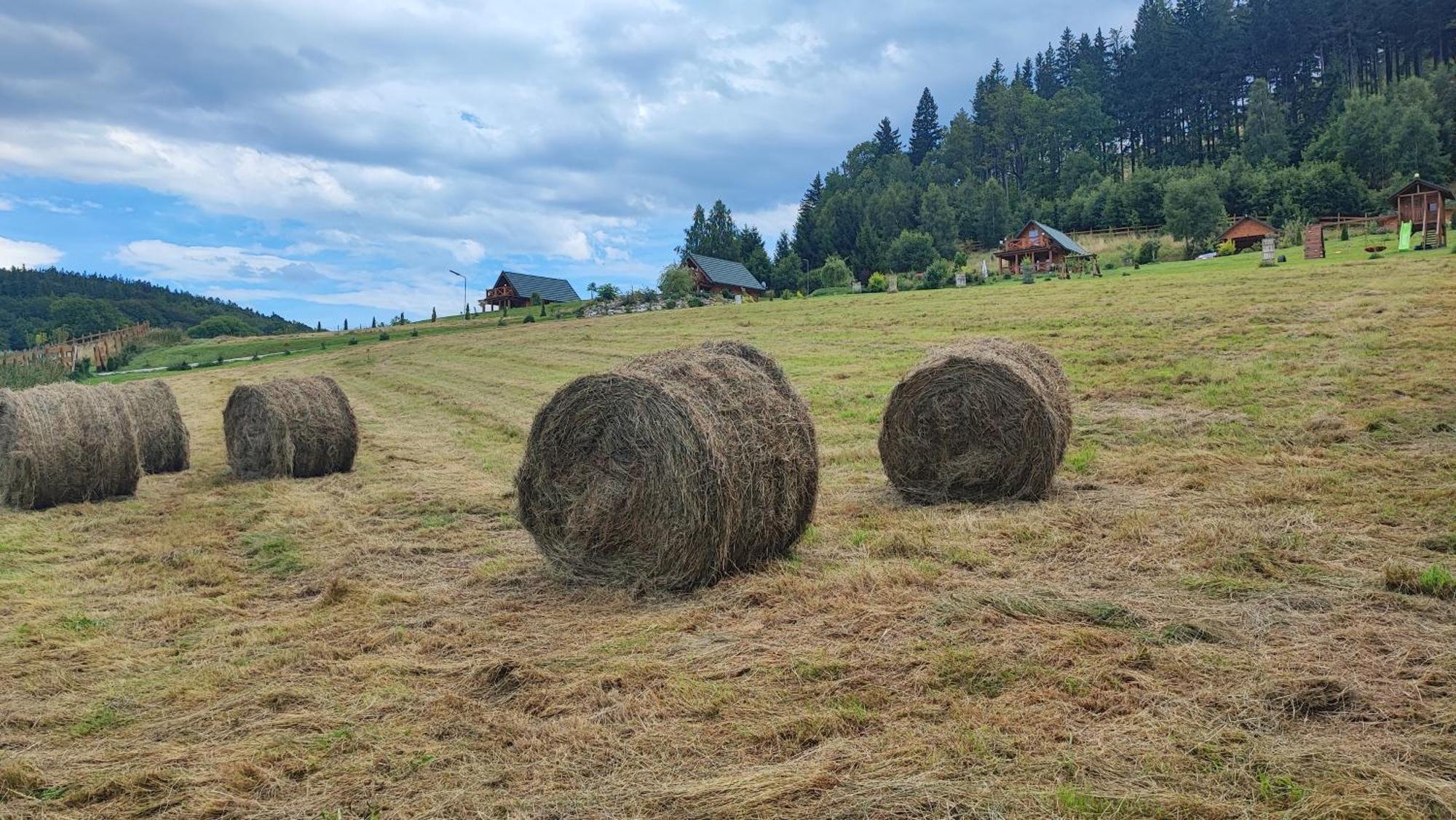 Domki Kolorowe Marciszow Exteriér fotografie