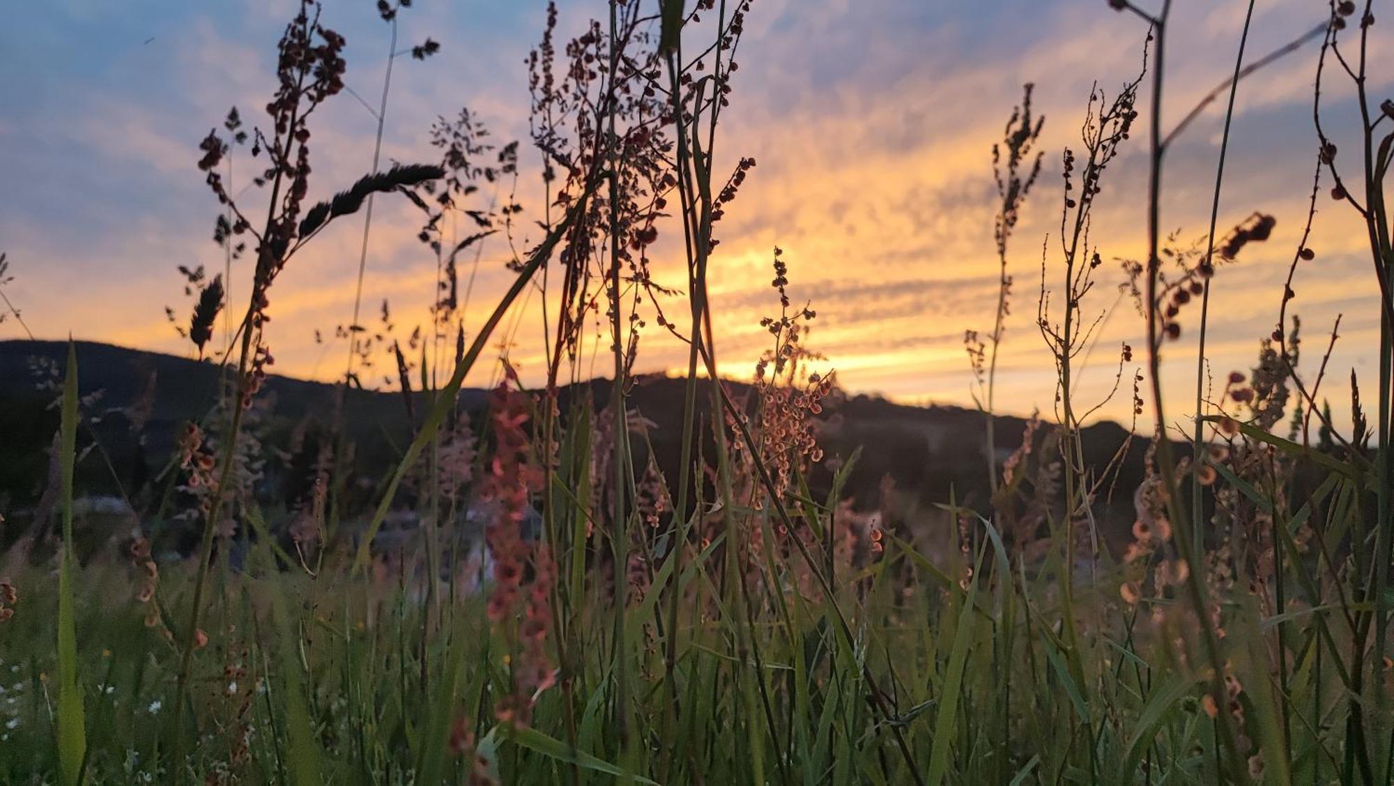 Domki Kolorowe Marciszow Exteriér fotografie